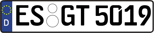 ES-GT5019