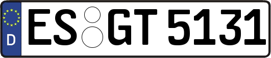 ES-GT5131