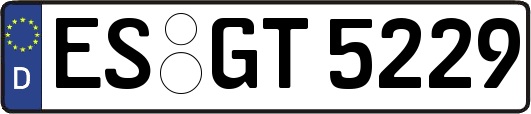 ES-GT5229