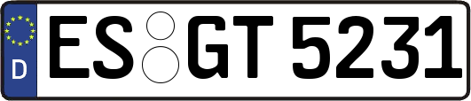 ES-GT5231