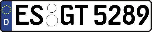ES-GT5289