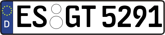 ES-GT5291