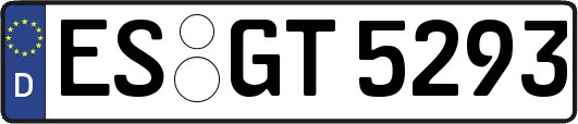 ES-GT5293