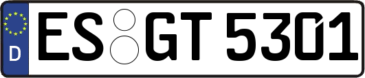 ES-GT5301