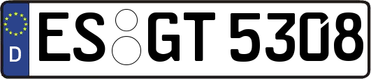 ES-GT5308