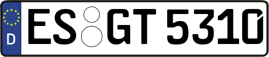 ES-GT5310