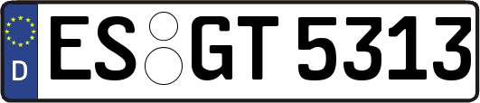 ES-GT5313