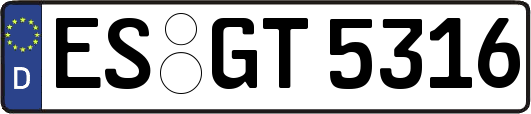 ES-GT5316