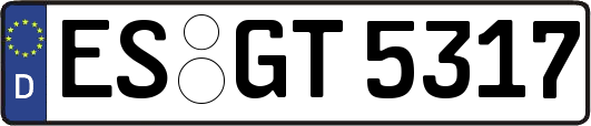 ES-GT5317