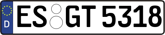 ES-GT5318