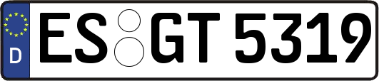 ES-GT5319