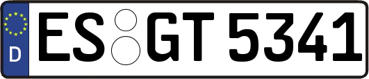 ES-GT5341