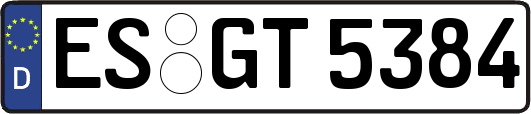 ES-GT5384