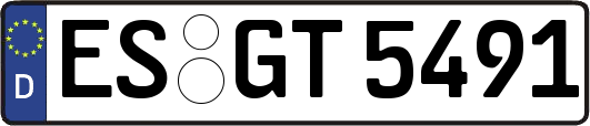 ES-GT5491
