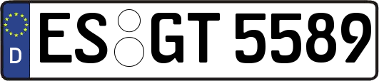 ES-GT5589