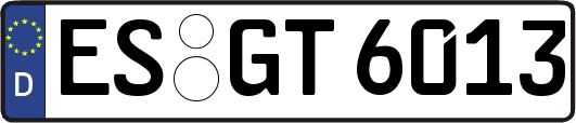 ES-GT6013