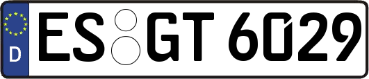 ES-GT6029