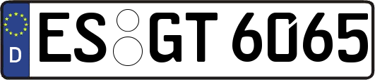 ES-GT6065