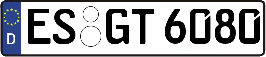 ES-GT6080