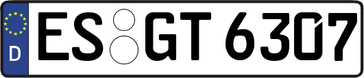 ES-GT6307