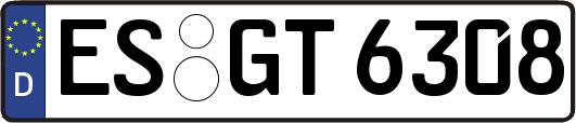 ES-GT6308
