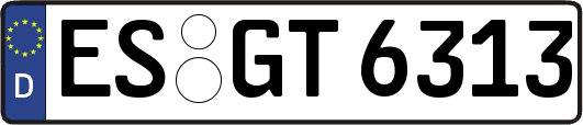 ES-GT6313