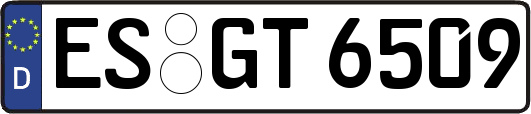 ES-GT6509
