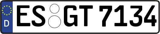 ES-GT7134