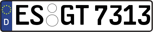 ES-GT7313