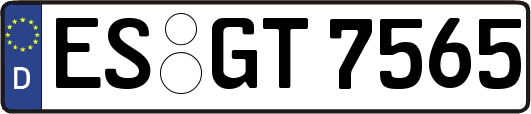 ES-GT7565