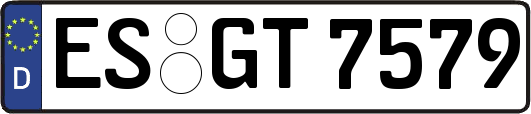 ES-GT7579