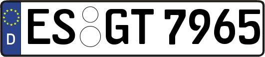 ES-GT7965