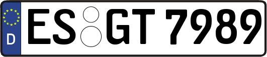ES-GT7989