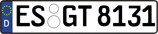 ES-GT8131