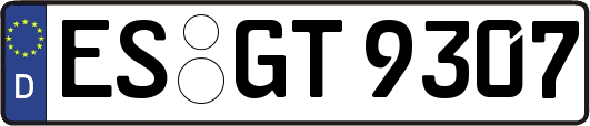 ES-GT9307