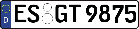 ES-GT9875