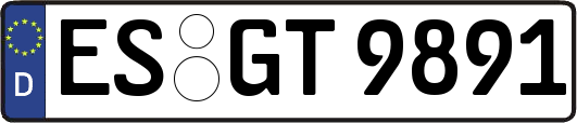 ES-GT9891