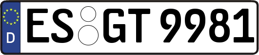 ES-GT9981