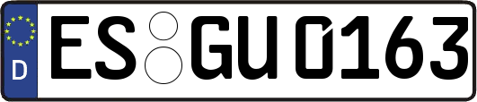 ES-GU0163