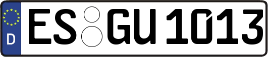ES-GU1013