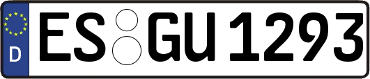 ES-GU1293