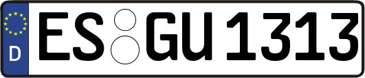 ES-GU1313