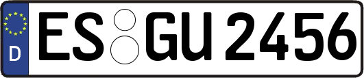 ES-GU2456