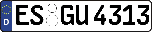 ES-GU4313