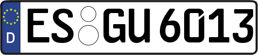 ES-GU6013