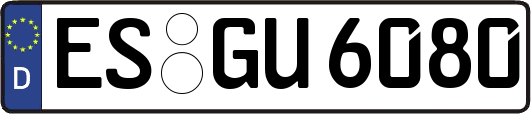 ES-GU6080