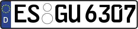 ES-GU6307