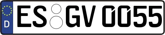 ES-GV0055