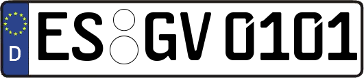 ES-GV0101