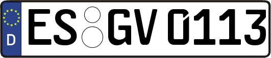 ES-GV0113